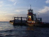 martina-42501 