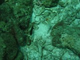 carol_7-4-2005_044 