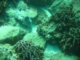 carol_7-4-2005_058 