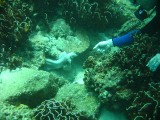 carol_7-4-2005_060 