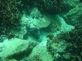 carol_7-4-2005_061 