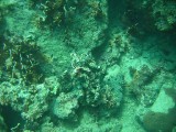 carol_7-4-2005_063 