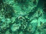 carol_7-4-2005_064 