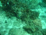 carol_7-4-2005_067 