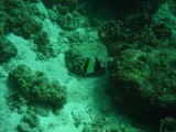 carol_7-4-2005_068 