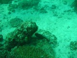 carol_7-4-2005_076 