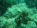 carol_7-4-2005_087 