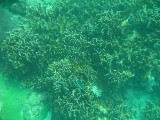 carol_7-4-2005_088 
