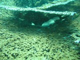 carol_7-4-2005_095 