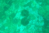 dsc00909 