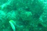 dsc00928 