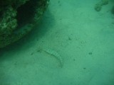 img_0159 