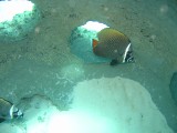 img_0809 
