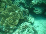 img_0819 