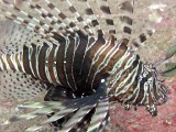 img_0836 