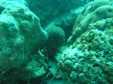 melissapics_527 