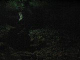p9023361 