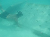 p9170051 