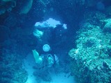 p1010074 