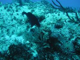 p1010088 