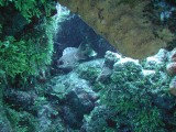 p1010112 