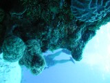 p1010113 