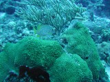 p1010115 