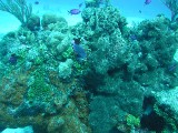 p1010138 