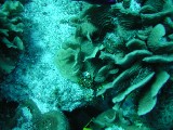 p1010139 