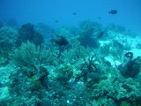 p1010144 