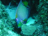 p1010152 