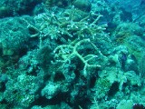 p1010154 