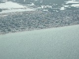 p9140017 