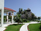 p8313083 