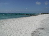 p8313088 