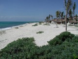 p8313101 