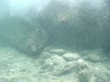 p8313130 