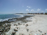p8313153 