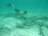 p8313163 