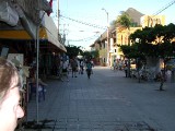 p8313220 