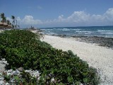 p9013236 