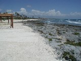 p9013240 