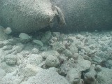 p9033379 