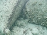 p9033380 