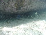 p9033383 