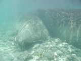 p9033384 