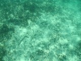 p9033399 