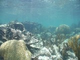 p9033408 