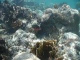 p9033409 