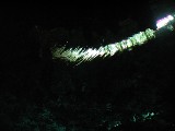 p9023300 